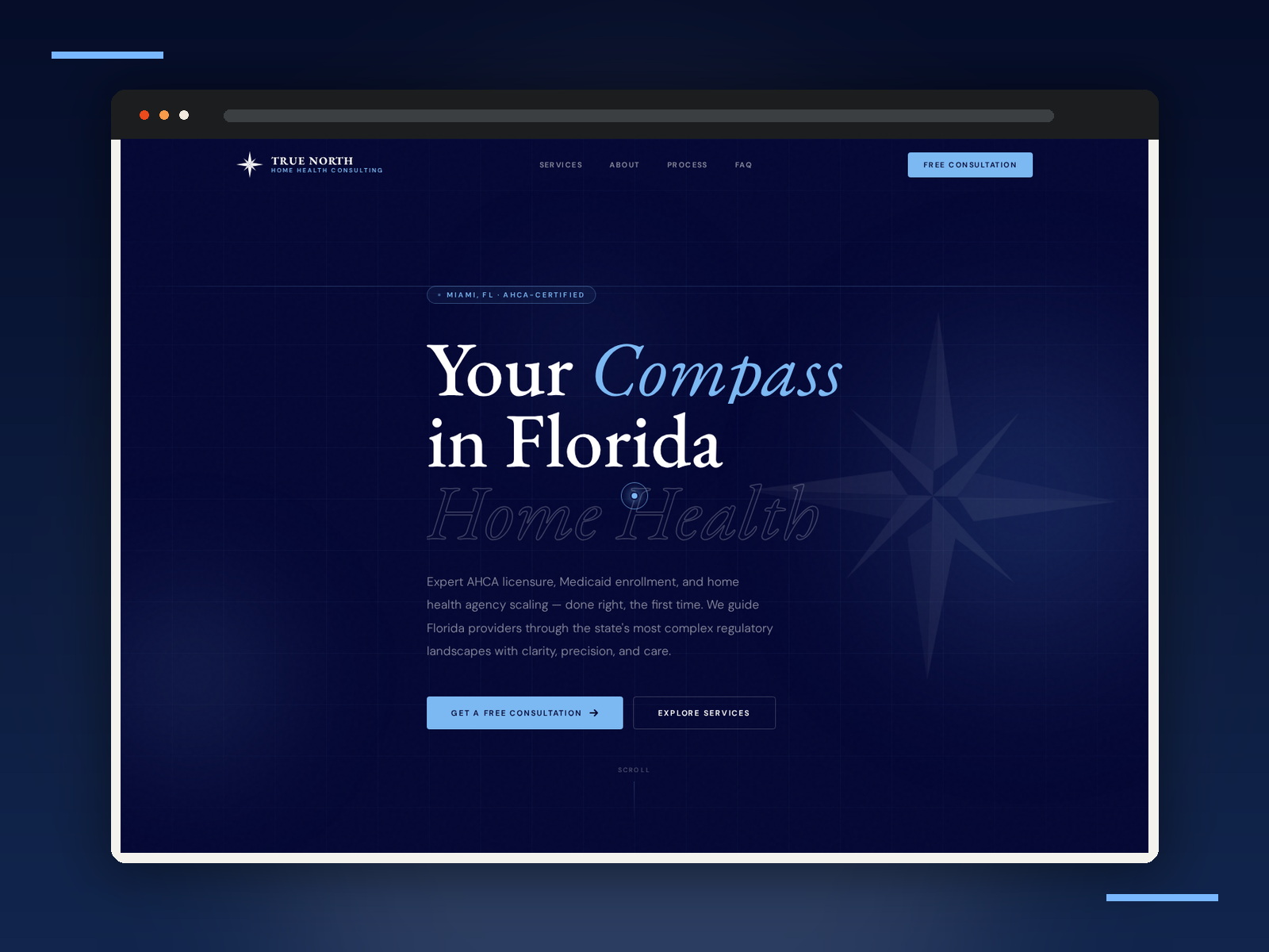 True North Home Health Consulting brand application 2