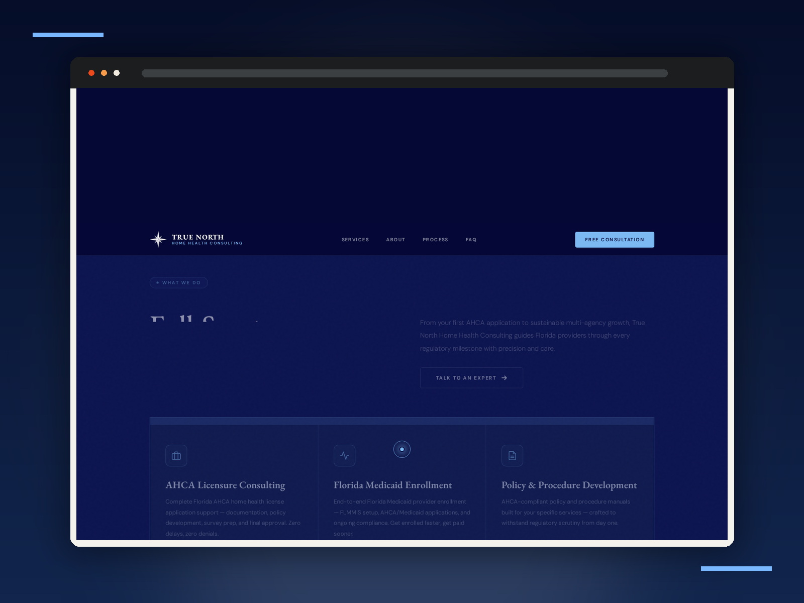 True North Home Health Consulting brand application 3