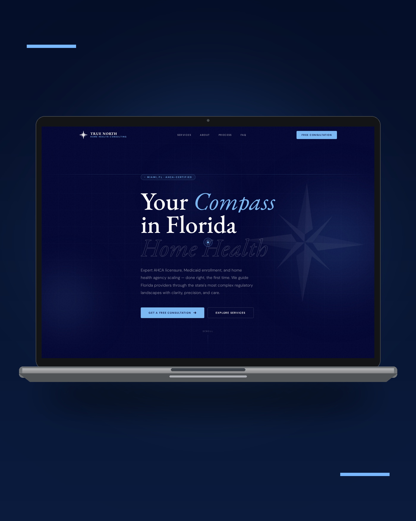 True North Home Health Consulting brand application 1